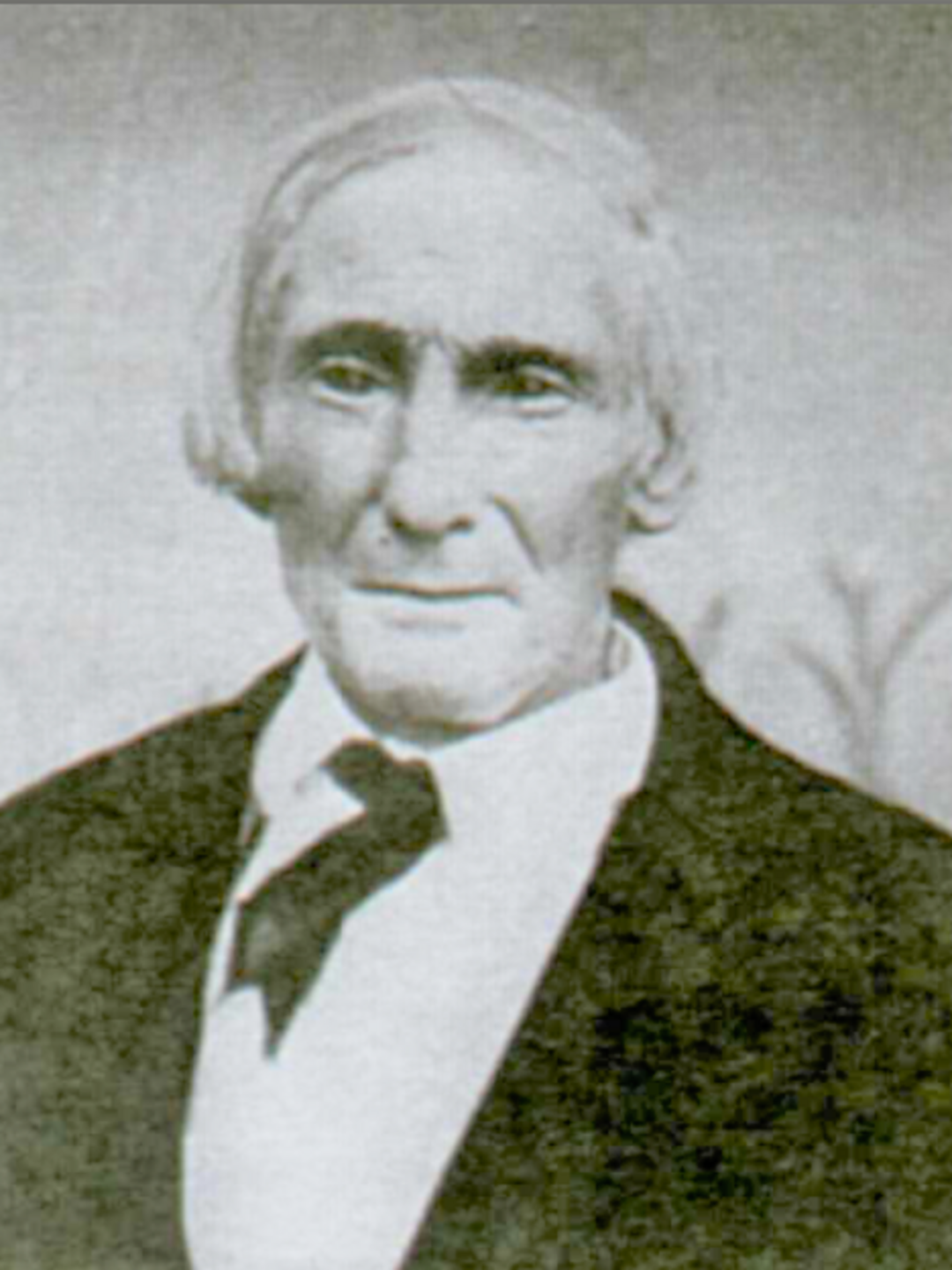 Thomas Newel Wilson (1811 - 1885) Profile